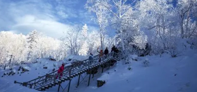 冬天去哪里旅游合适