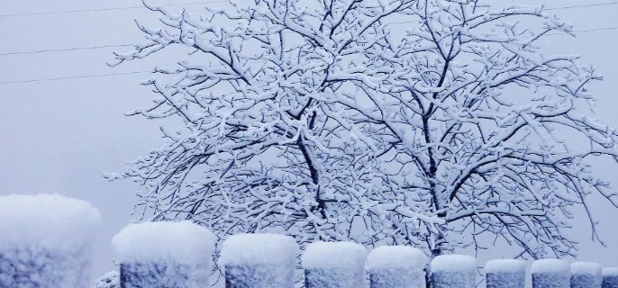 雪是怎么形成的