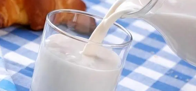牛奶为什么被称为液体面包