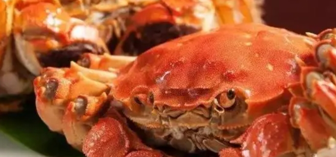 螃蟹不能和哪些食物一起吃